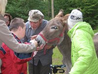 Lauterbach-Bild_2